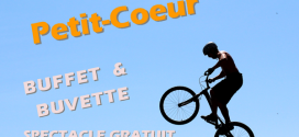 affiche petit coeur 2015 coupe rhone alpes